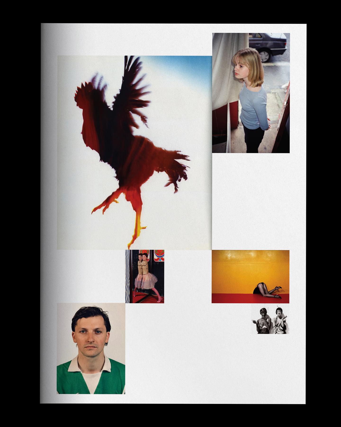 Thumbnail of p-disvh0dszqh-ca137283979b43c9 0