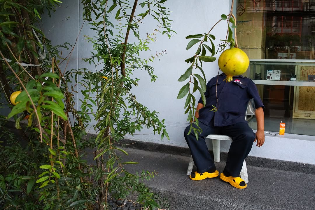 Thumbnail of www-instagram-com-p-dpq75ntesg3 1