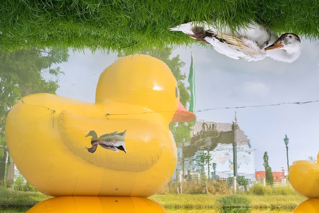 Thumbnail of www-instagram-com-p-dpq75ntesg3 13