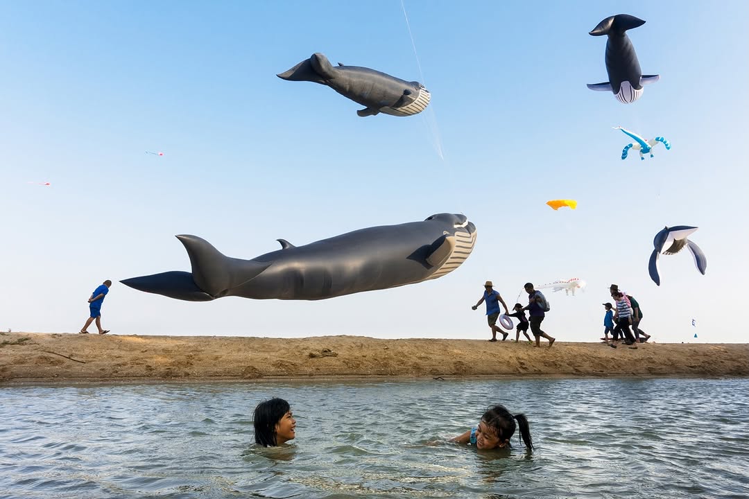 Thumbnail of www-instagram-com-p-dpq75ntesg3 4