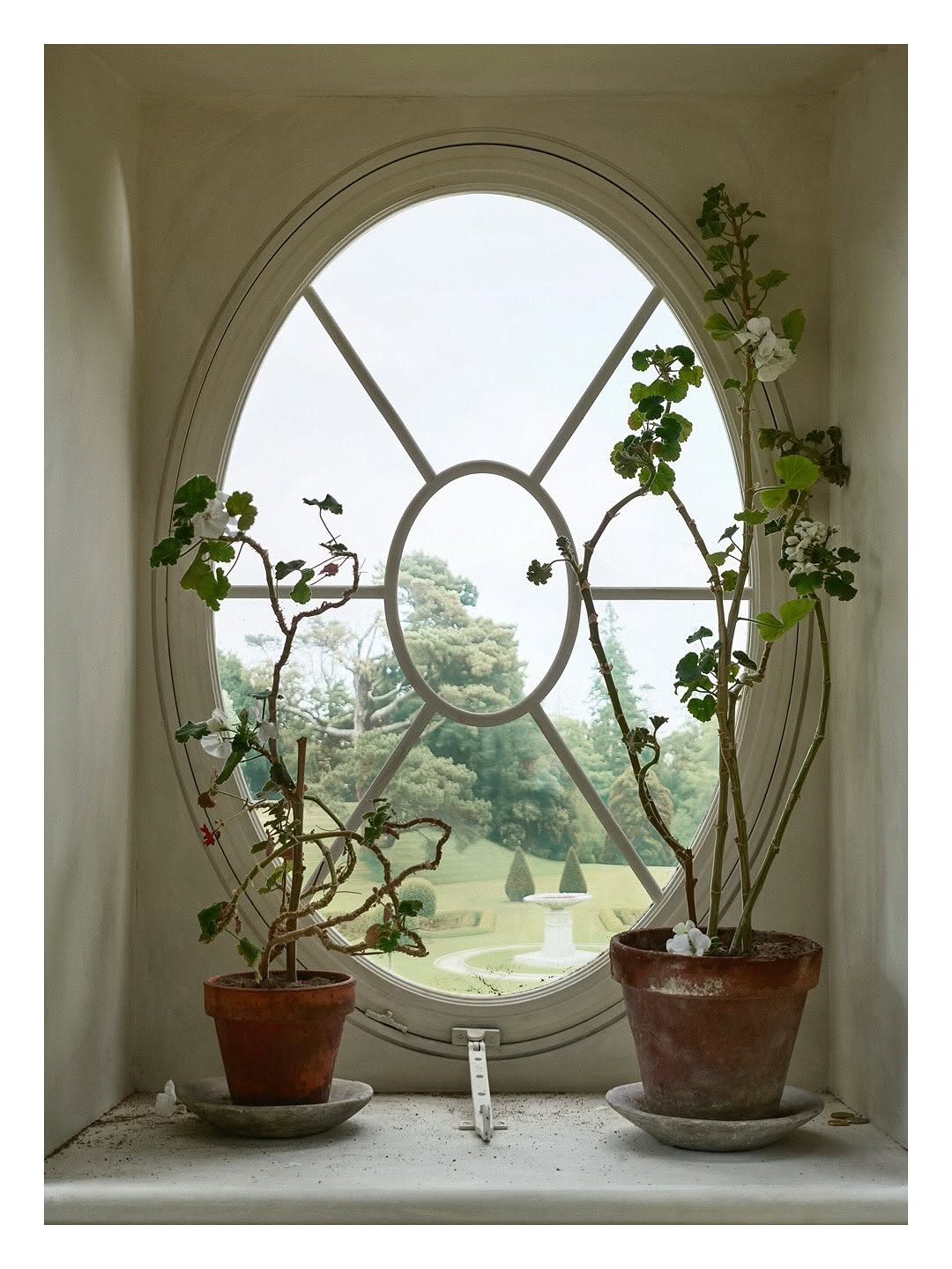 Thumbnail of www-instagram-com-p-do51t-ndn7m-img-index-1 1