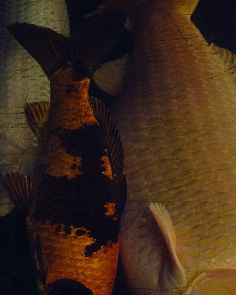 Thumbnail of www-instagram-com-p-ds5tmw6ie7q 6