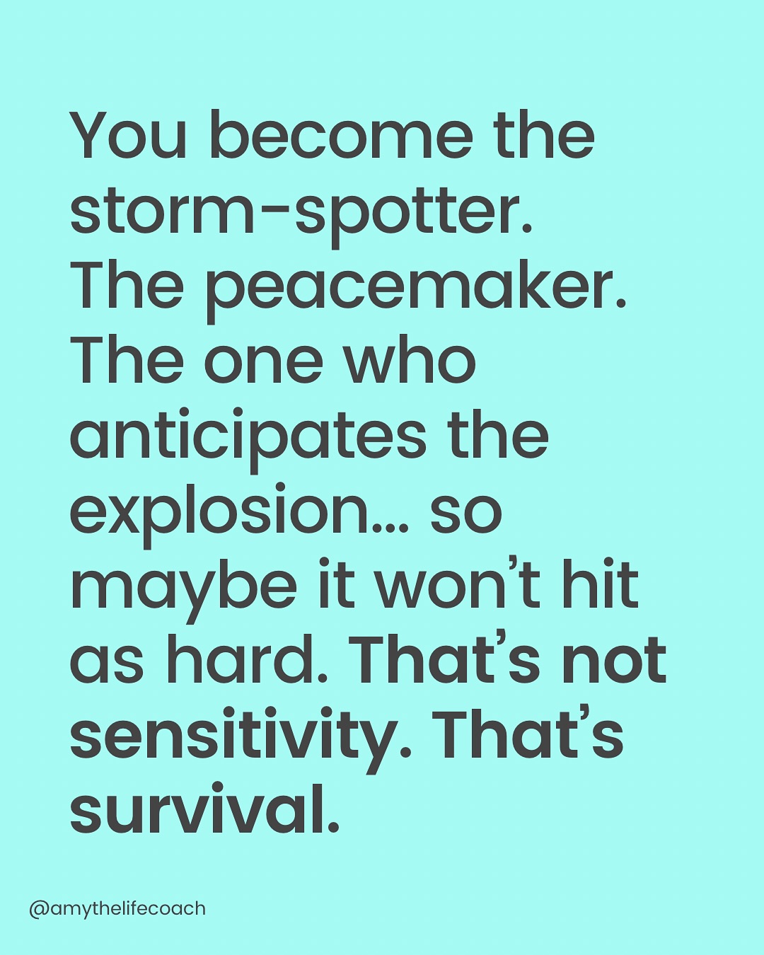 Thumbnail of p-dkh1rappfy7-d124225133b74197 2