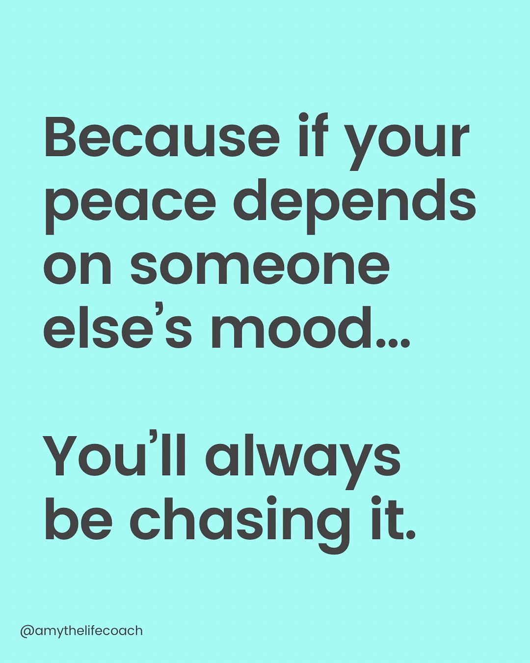 Thumbnail of p-dkh1rappfy7-d124225133b74197 7