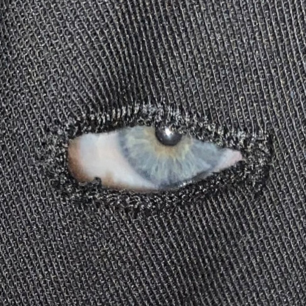 Thumbnail of c-leqb2ybsp-d26e634b8e214758 1