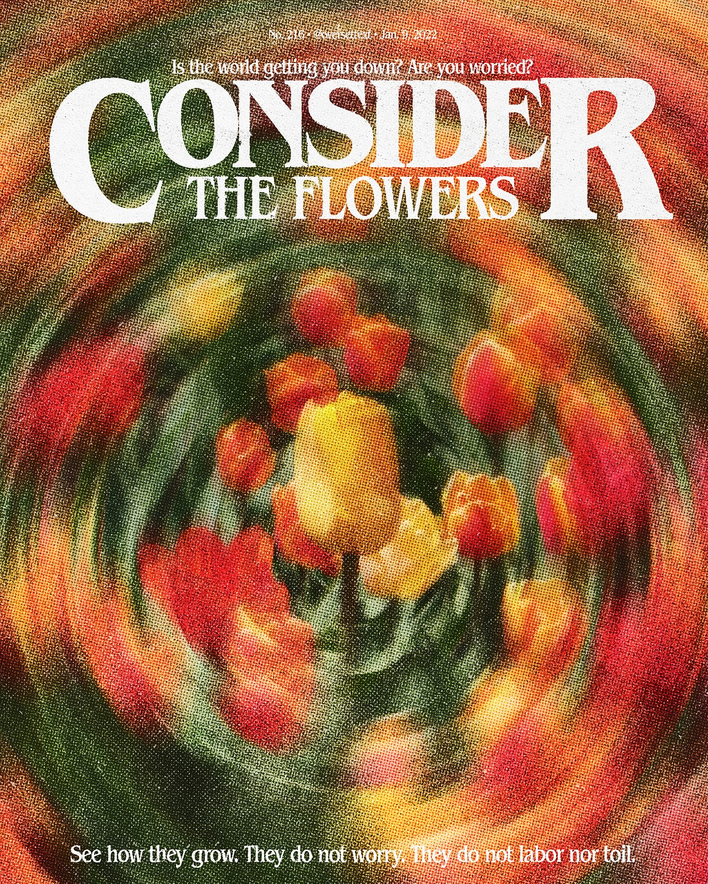 Thumbnail of p-df6j89dyxy3-d326e5361b9349a5 6