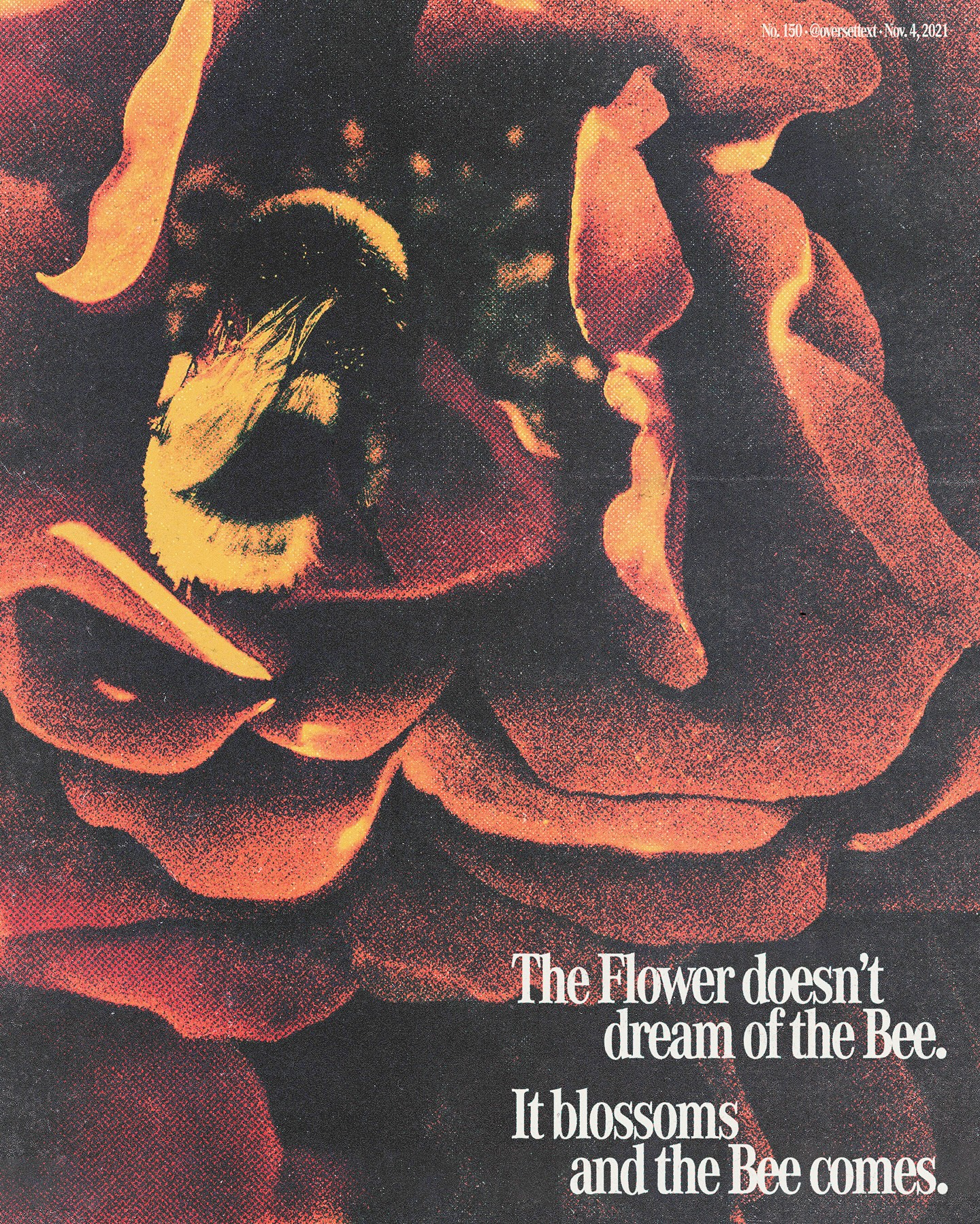 Thumbnail of p-df6j89dyxy3-d326e5361b9349a5 7