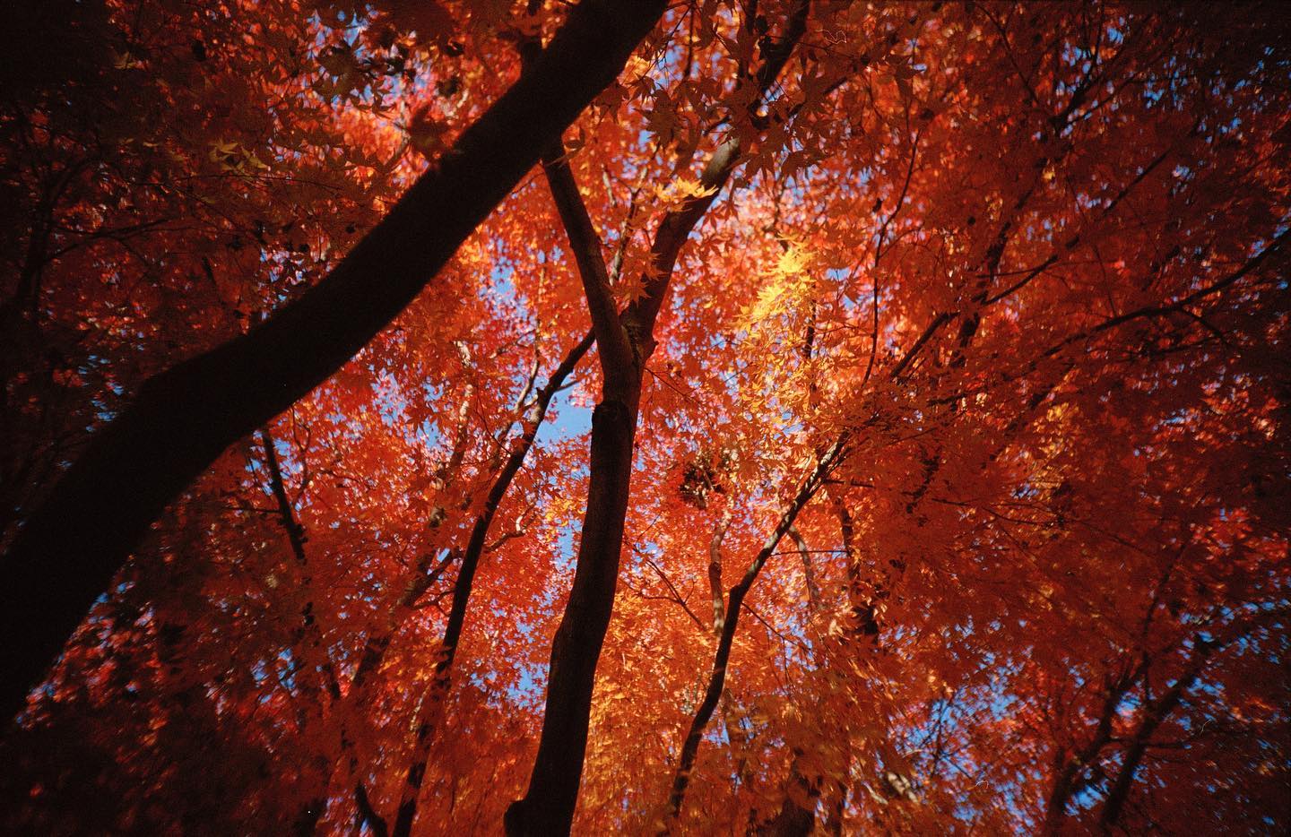 Thumbnail of p-cvypdh0fgbi-d440a5eb485446d5 0