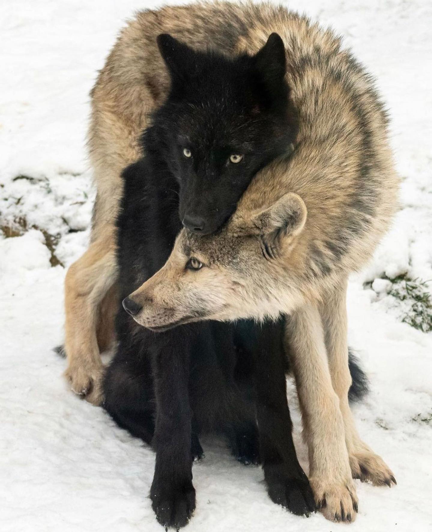 Thumbnail of p-ctz6ct7ml8-d5821f4df8594908 0