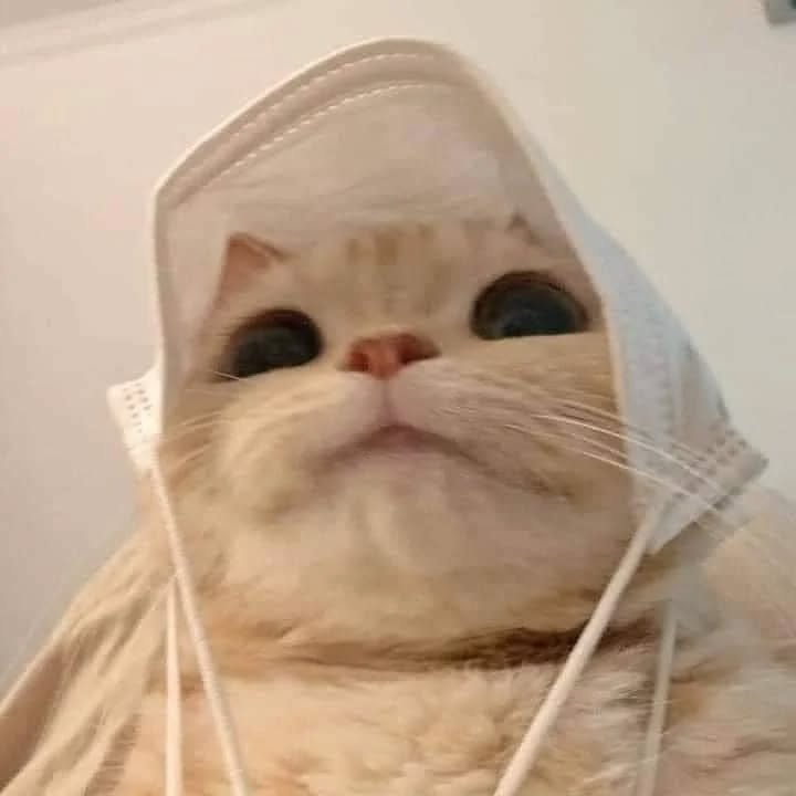 Thumbnail of p-czcrpievvik-d607ffd848334c2a 0