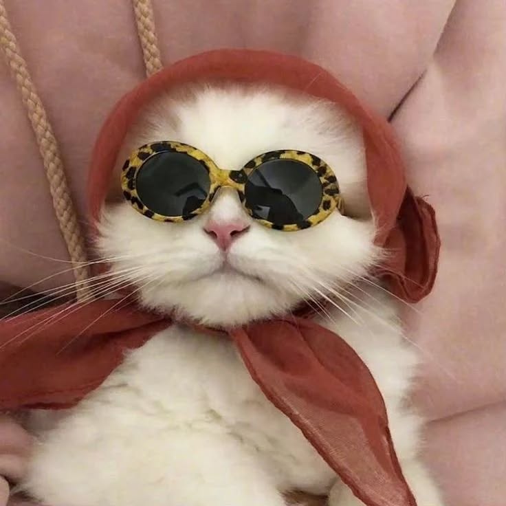 Thumbnail of p-czcrpievvik-d607ffd848334c2a 1