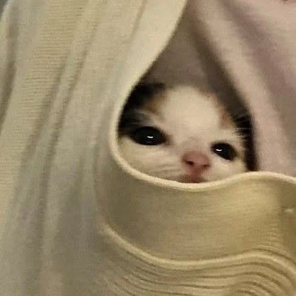 Thumbnail of p-czcrpievvik-d607ffd848334c2a 2