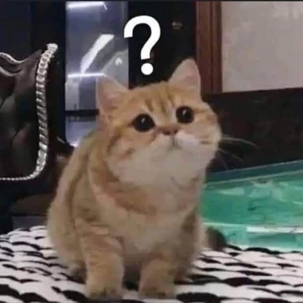 Thumbnail of p-czcrpievvik-d607ffd848334c2a 4