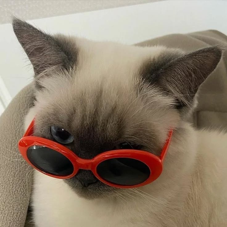 Thumbnail of p-czcrpievvik-d607ffd848334c2a 5