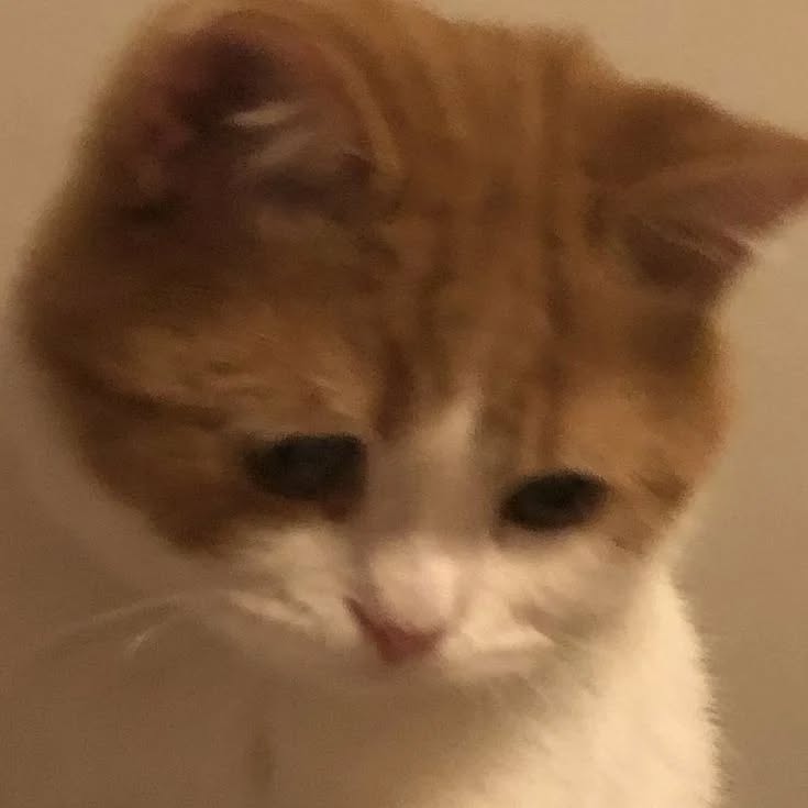 Thumbnail of p-czcrpievvik-d607ffd848334c2a 6