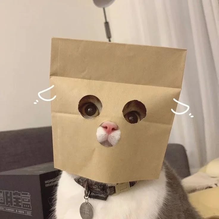 Thumbnail of p-czcrpievvik-d607ffd848334c2a 7