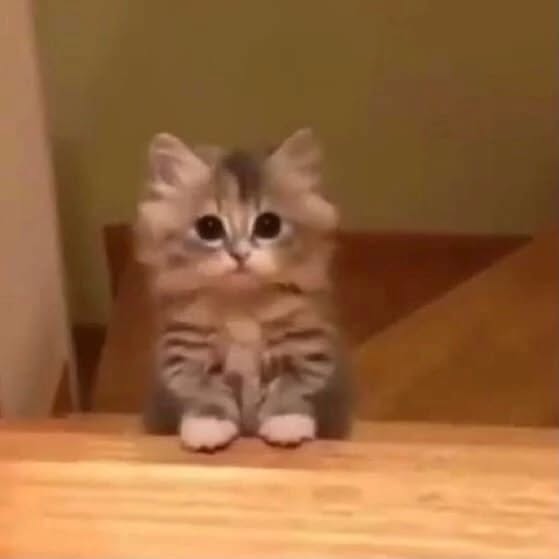 Thumbnail of p-czcrpievvik-d607ffd848334c2a 8