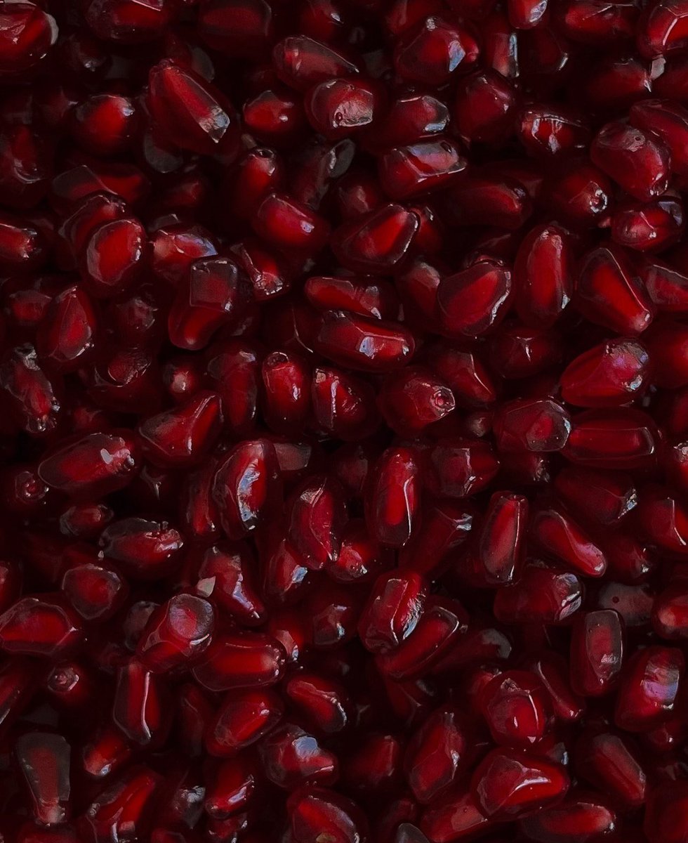 Thumbnail of www-x-com-i3moment-status-1856086499420262756-d686f01668ba4f0d