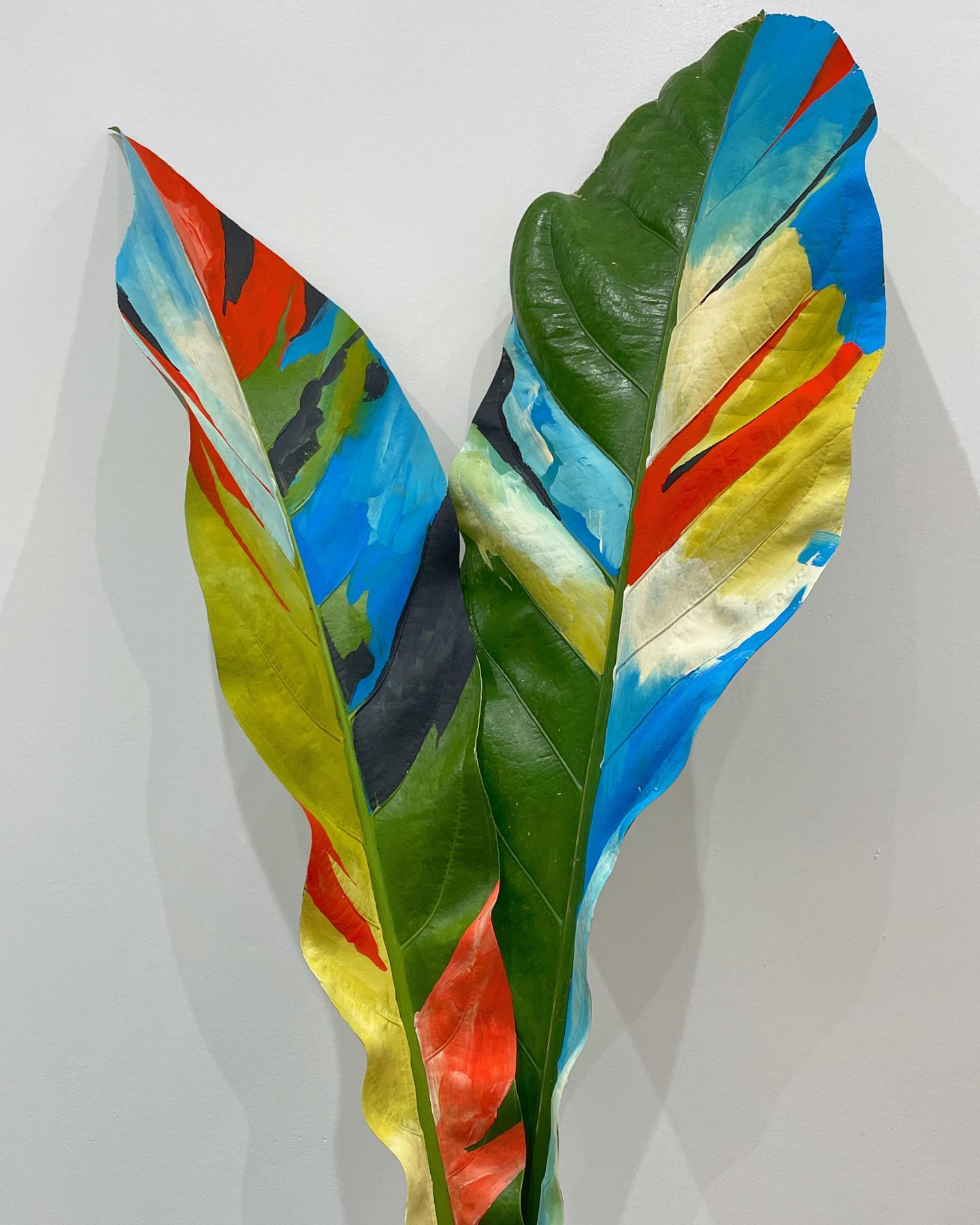 Thumbnail of cukul-goxby-d7699658ebc44007 0