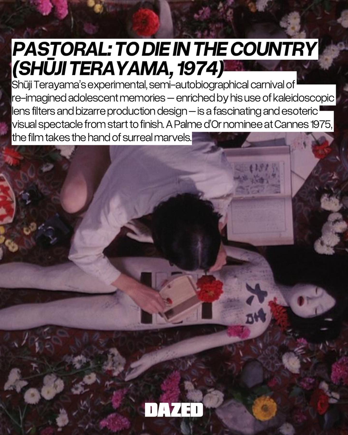 Thumbnail of p-c6ualmkkr2p-d7c792a94a264ece 3