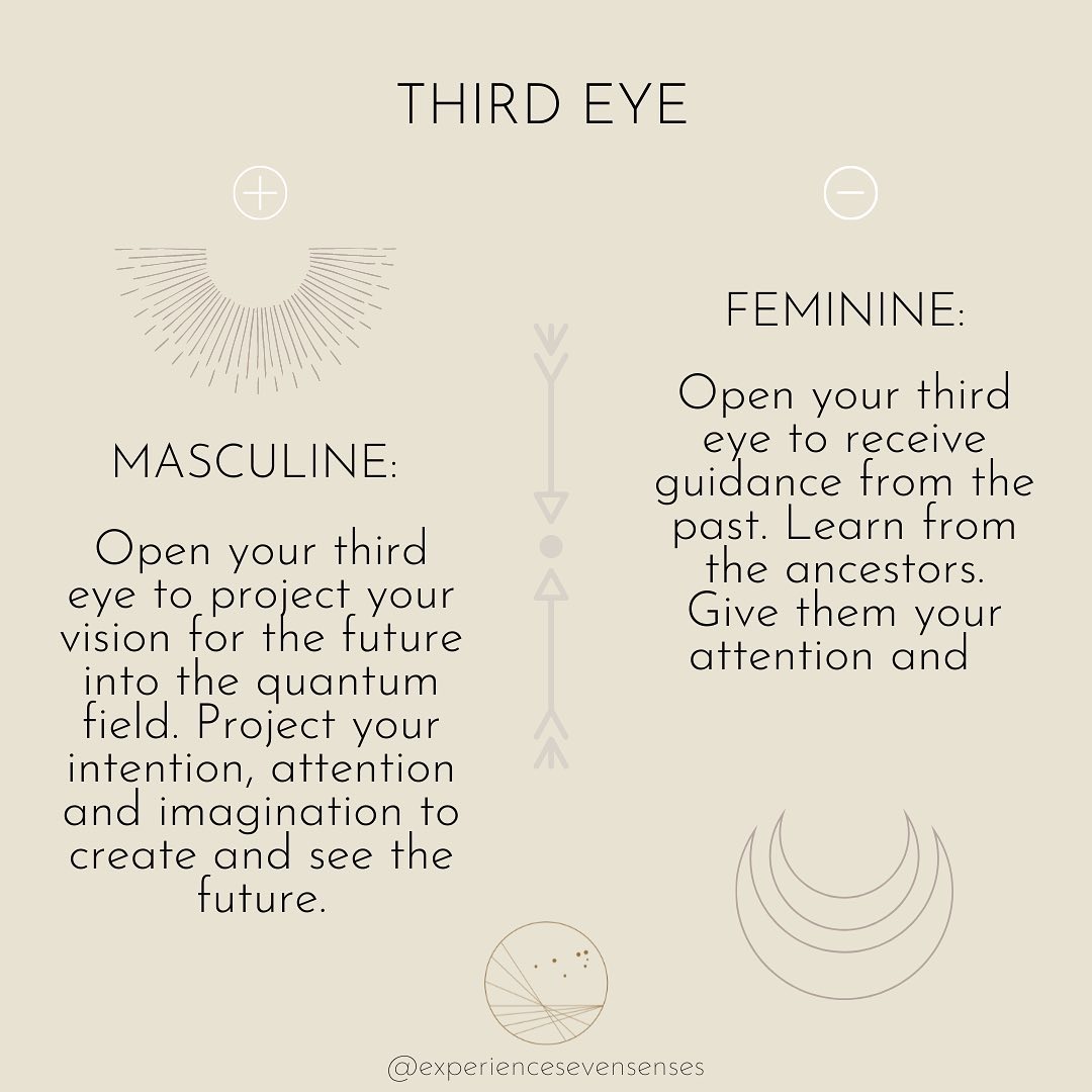 Thumbnail of p-cbii0iko00i-d88015e3a39a4fa0 6