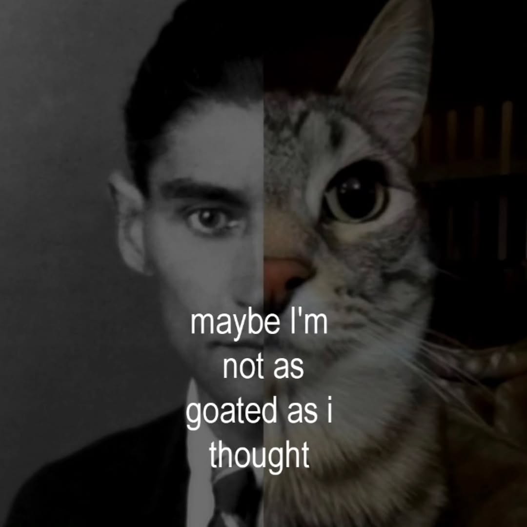 Thumbnail of www-instagram-com-p-dq1-rq-k7gr-img-index-2 5