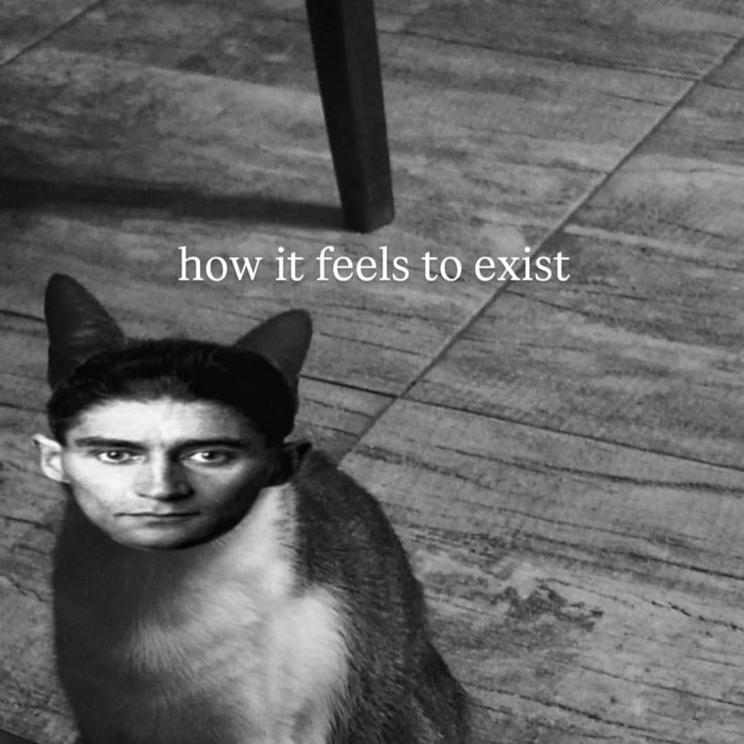 Thumbnail of www-instagram-com-p-dq1-rq-k7gr-img-index-2 8