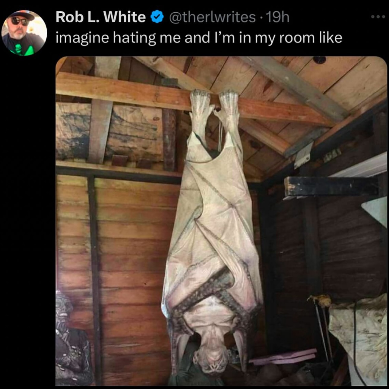 Thumbnail of p-dgawzilpthz-ddc7f82dbba74271 3