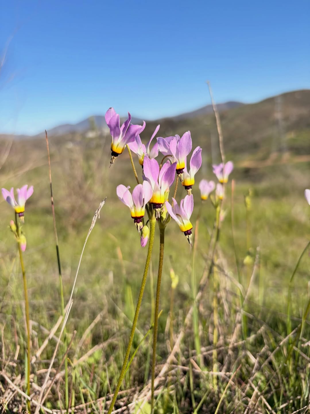 Thumbnail of www-instagram-com-p-dujyn-geg4t 0