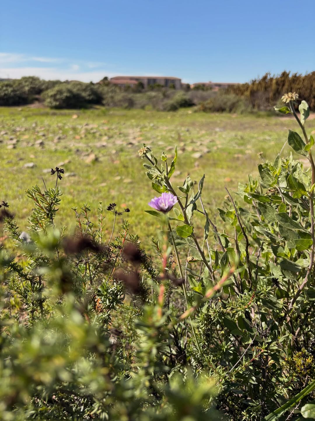 Thumbnail of www-instagram-com-p-dujyn-geg4t 1