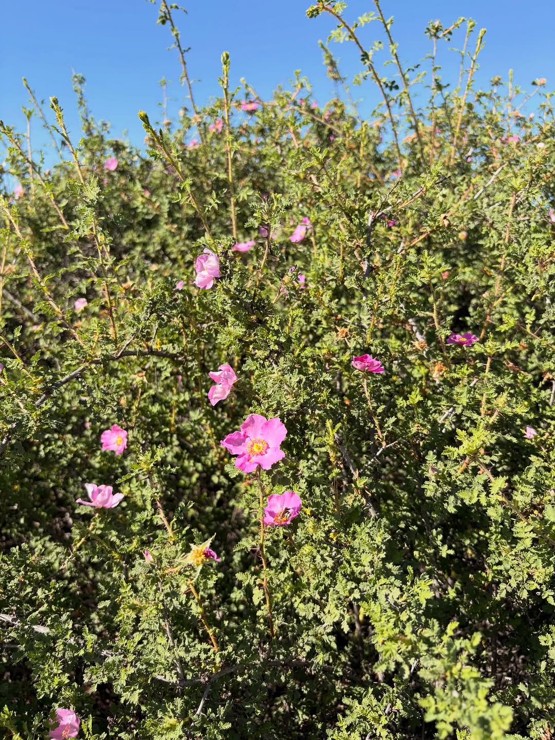 Thumbnail of www-instagram-com-p-dujyn-geg4t 2