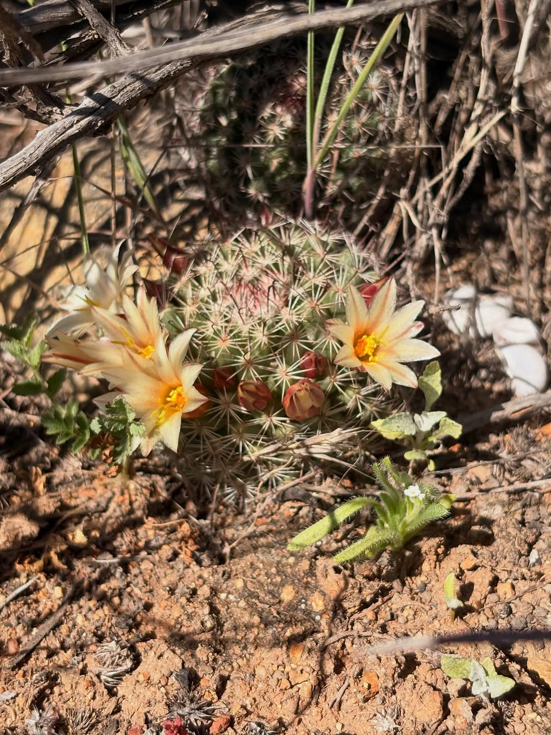 Thumbnail of www-instagram-com-p-dujyn-geg4t 3