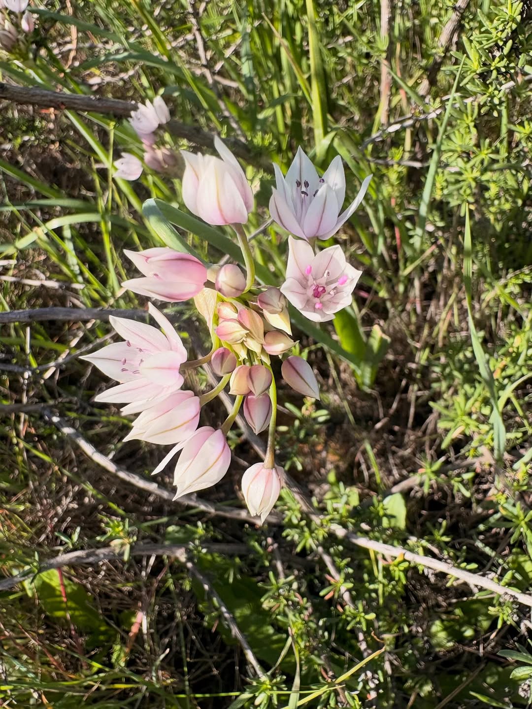 Thumbnail of www-instagram-com-p-dujyn-geg4t 4