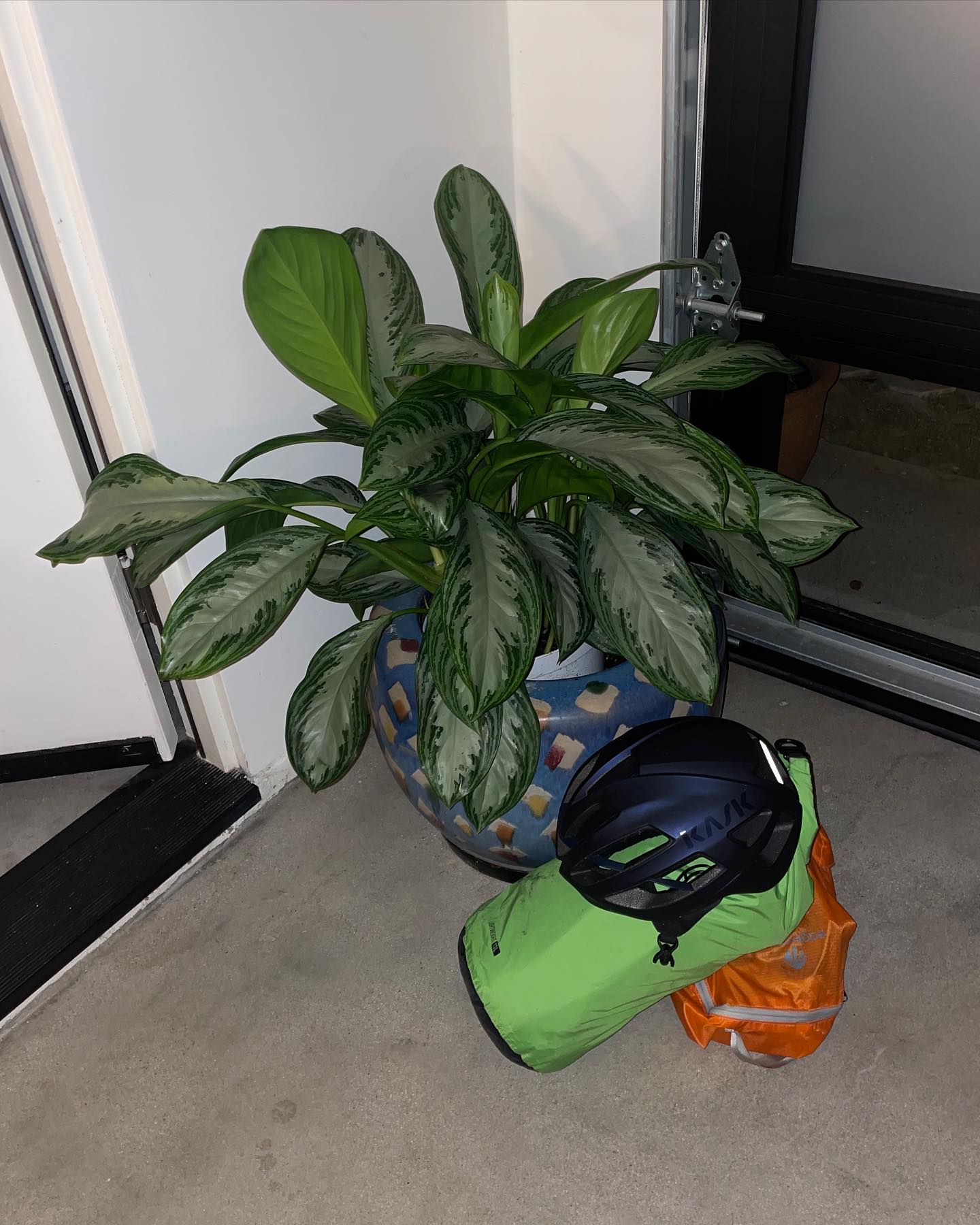 Thumbnail of p-cwzj477ovjj-e083b3d779ef4b29 5