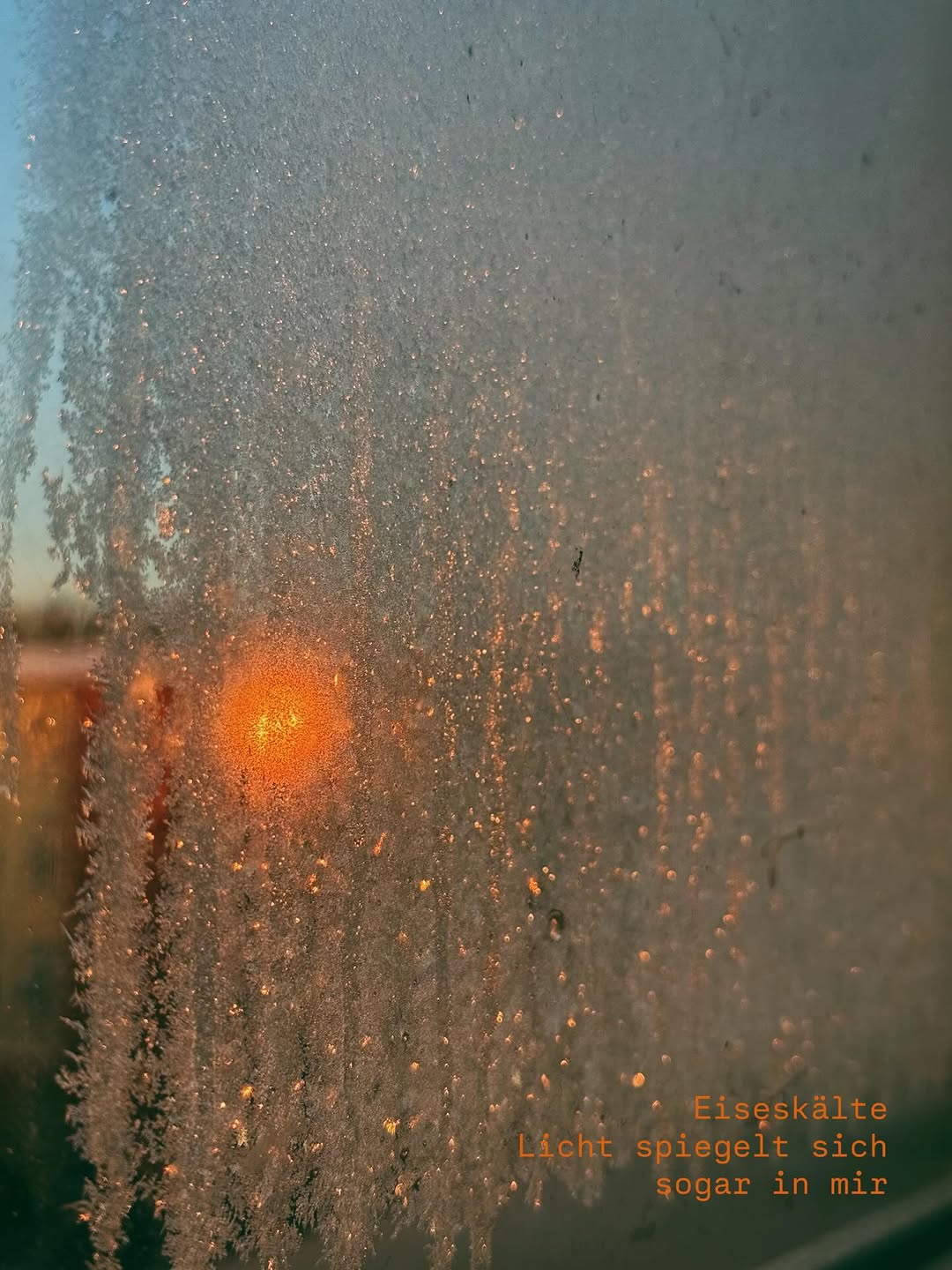 Thumbnail of www-instagram-com-p-drxooaadx-t-img-index-7 6