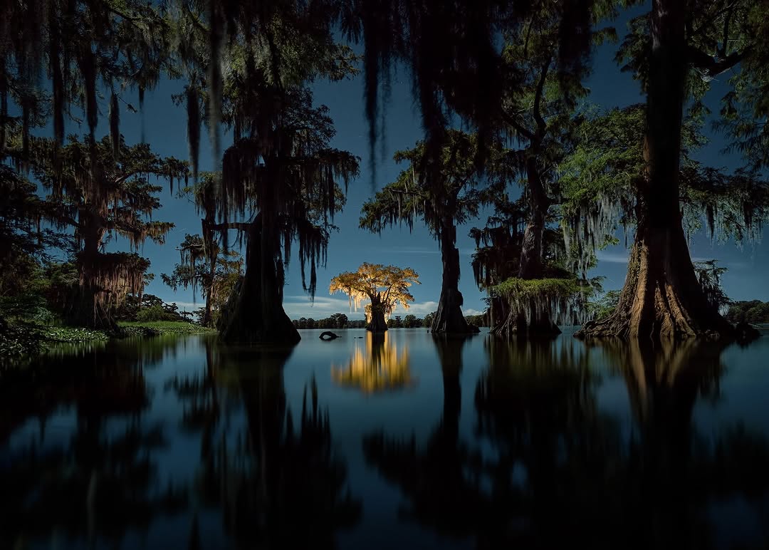 Thumbnail of www-instagram-com-p-dthe0zokvpx 0