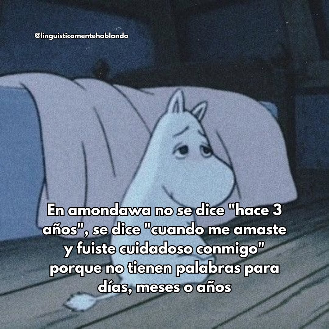 Thumbnail of www-instagram-com-p-dqnsneejqja-img-index-6 2