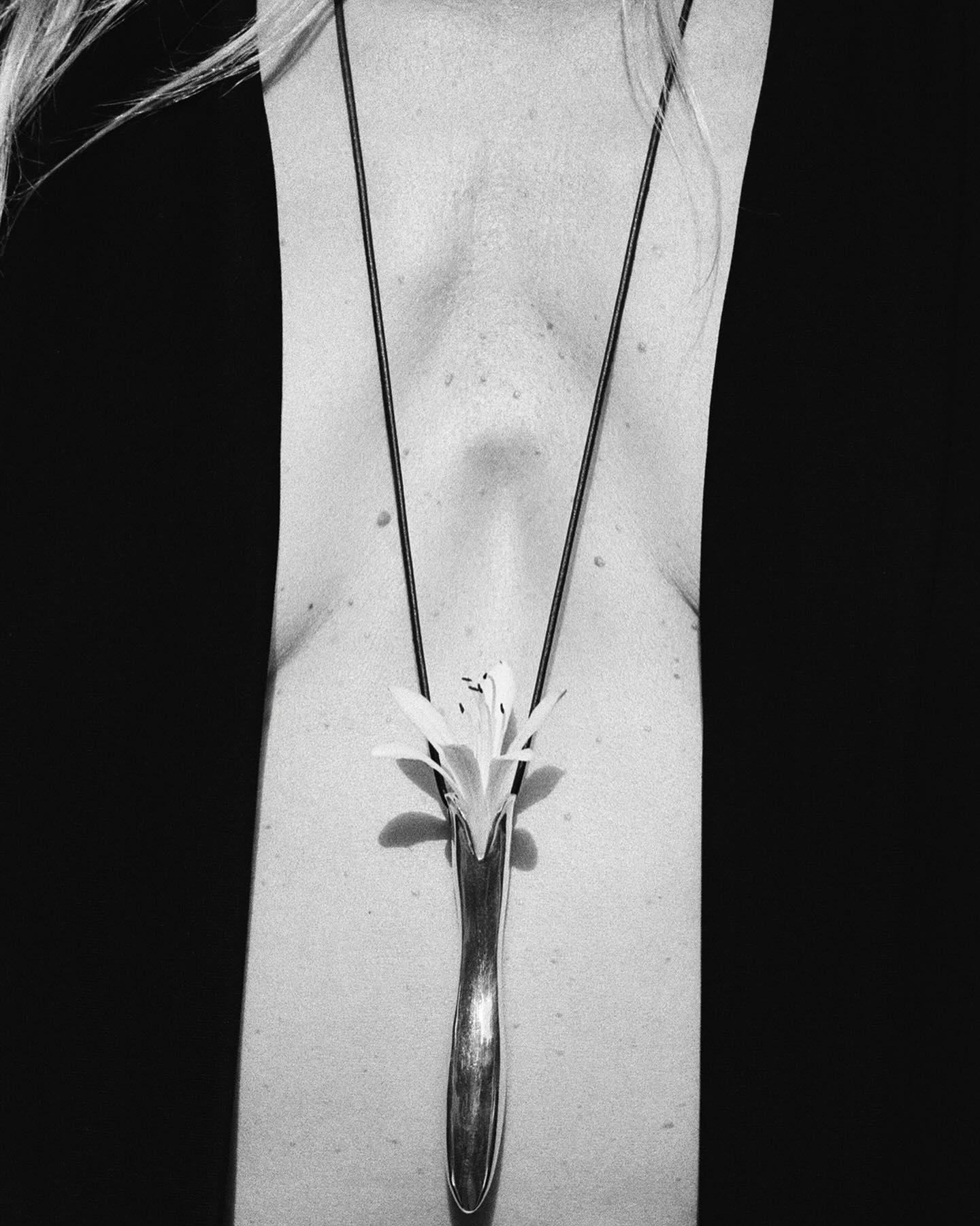 Thumbnail of p-c9cnjtcpqrj-e6ae4b3cb54d4f85 0