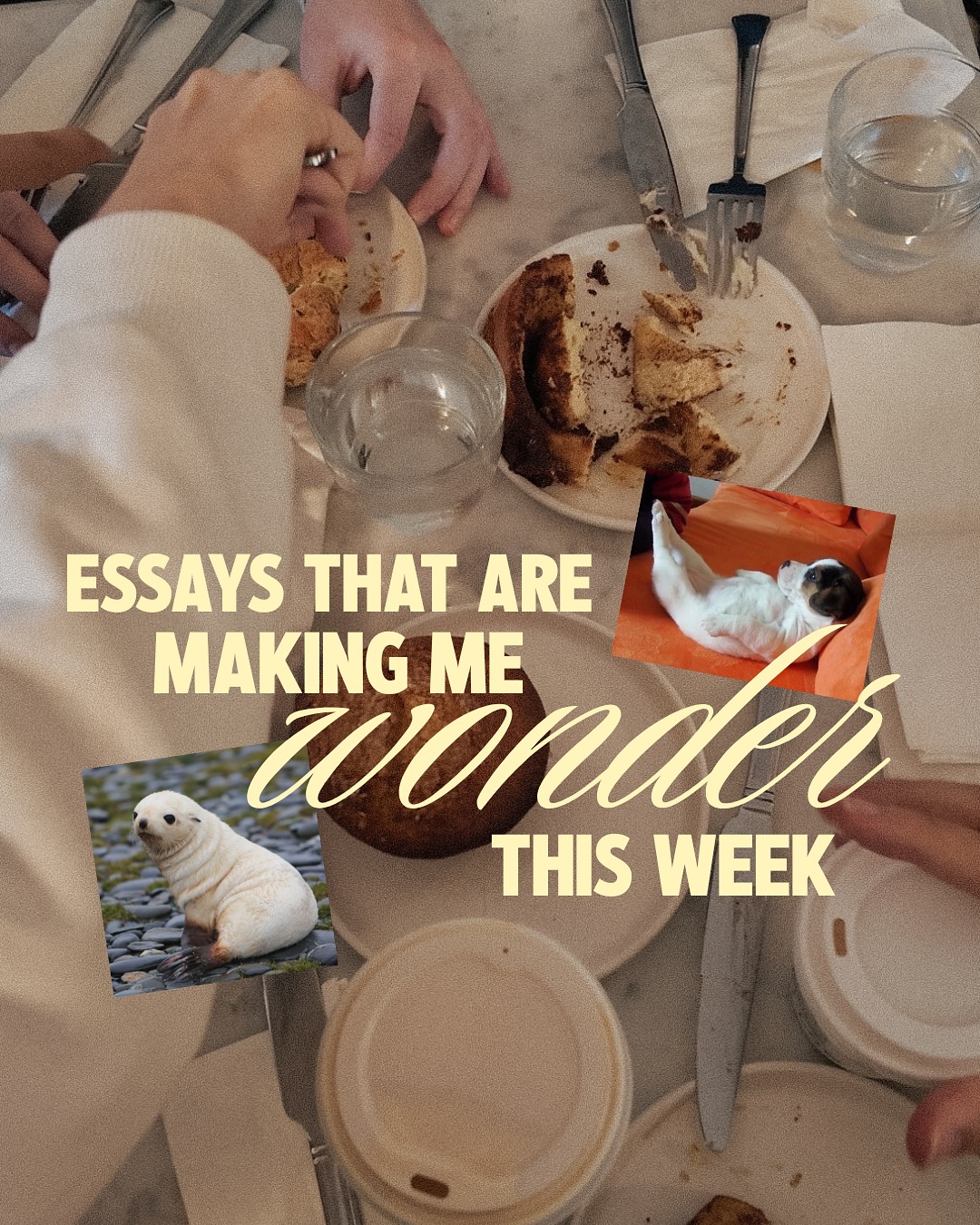 Thumbnail of p-drmjgzwdwep-e72a97586edf4e9e 0