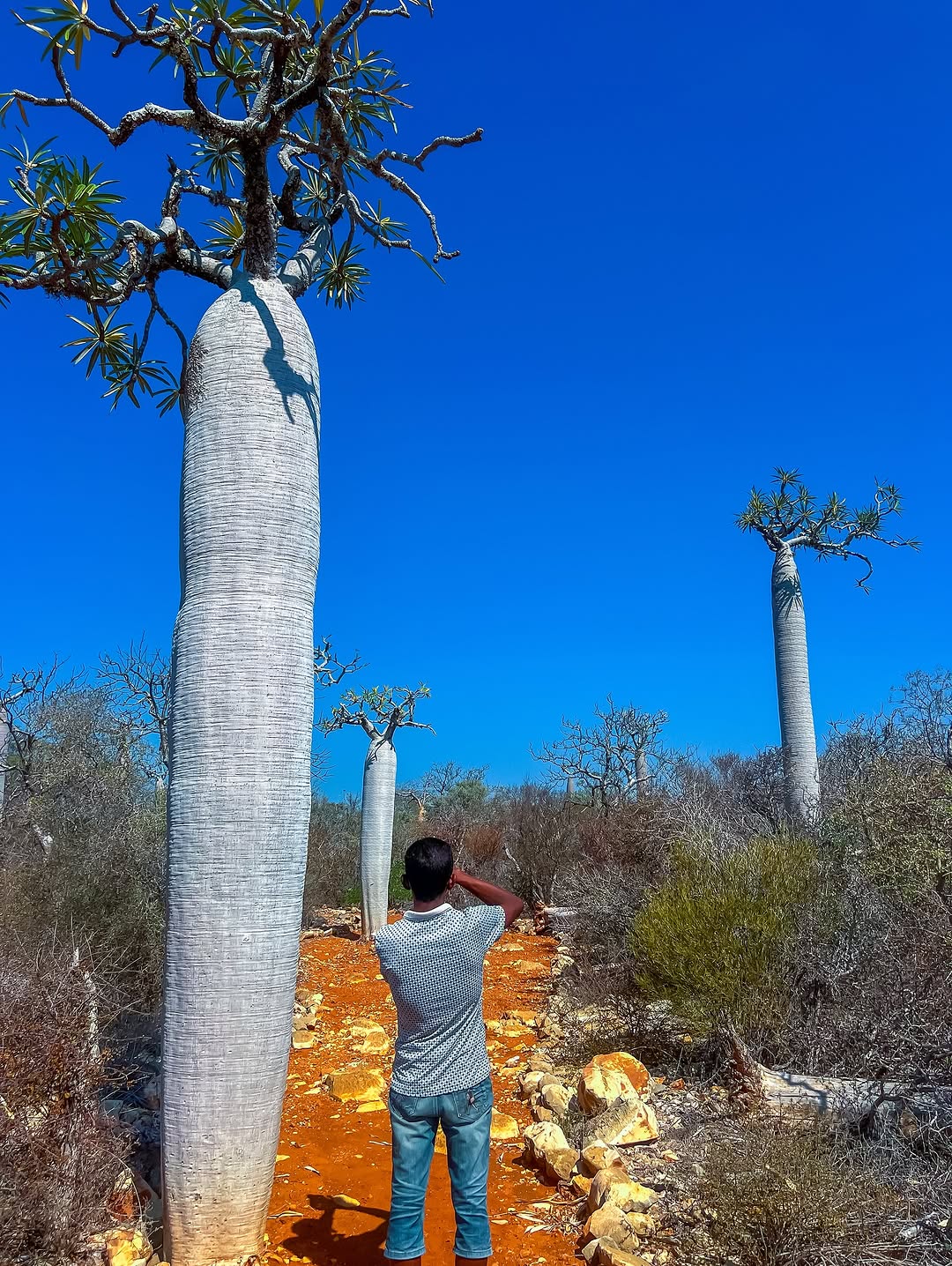 Thumbnail of www-instagram-com-p-drkgl-yioqb 1