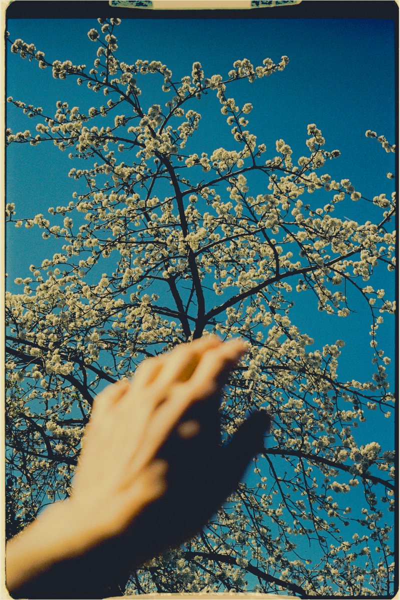 Thumbnail of www-x-com-ni-leconte-status-1994390028282372126