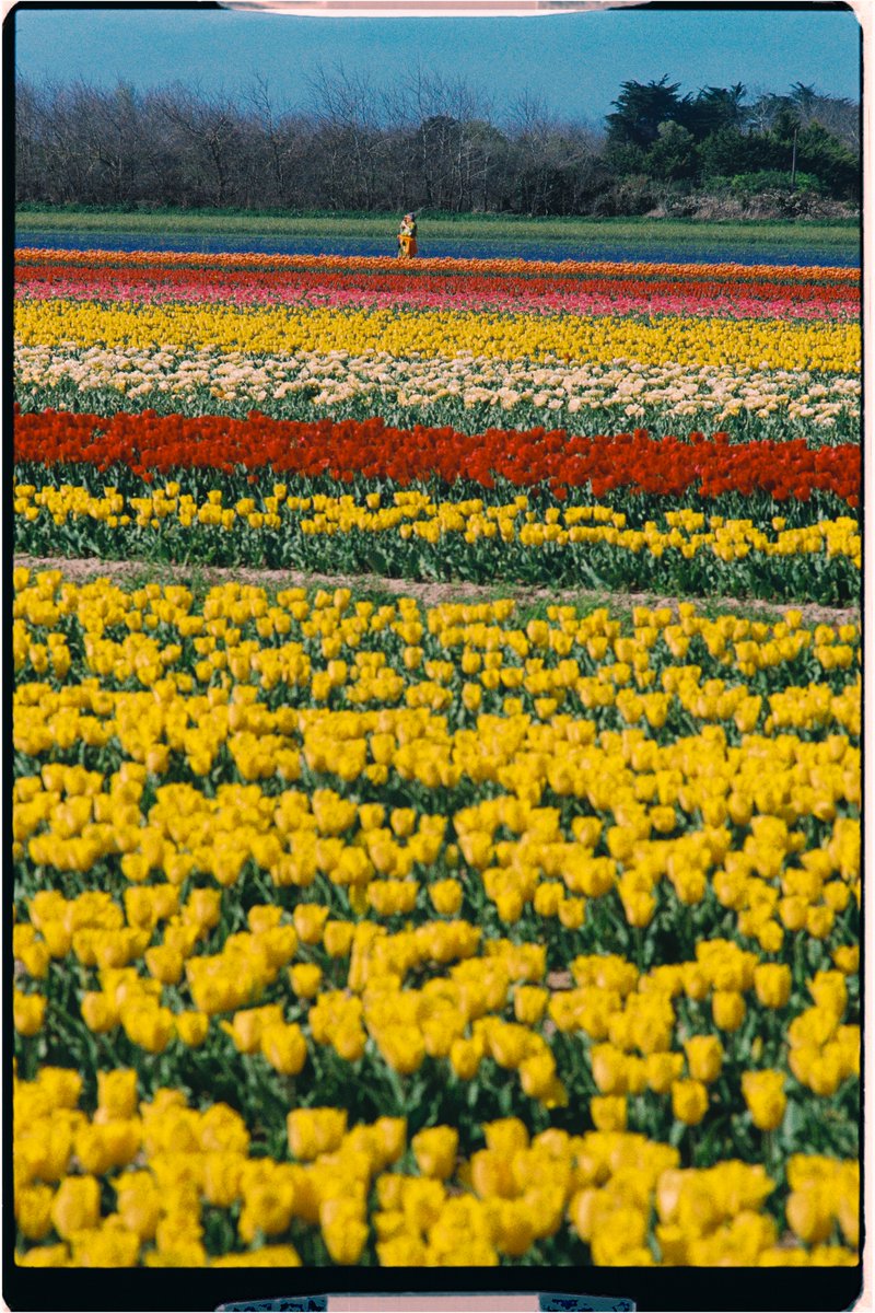 Thumbnail of www-x-com-ni-leconte-status-1994390028282372126