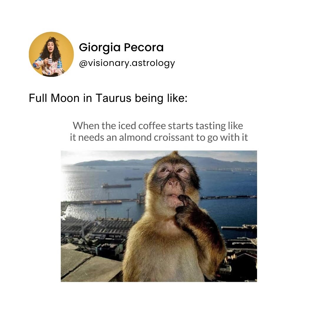 Thumbnail of www-instagram-com-p-dqoucmvdgcd-img-index-1 6