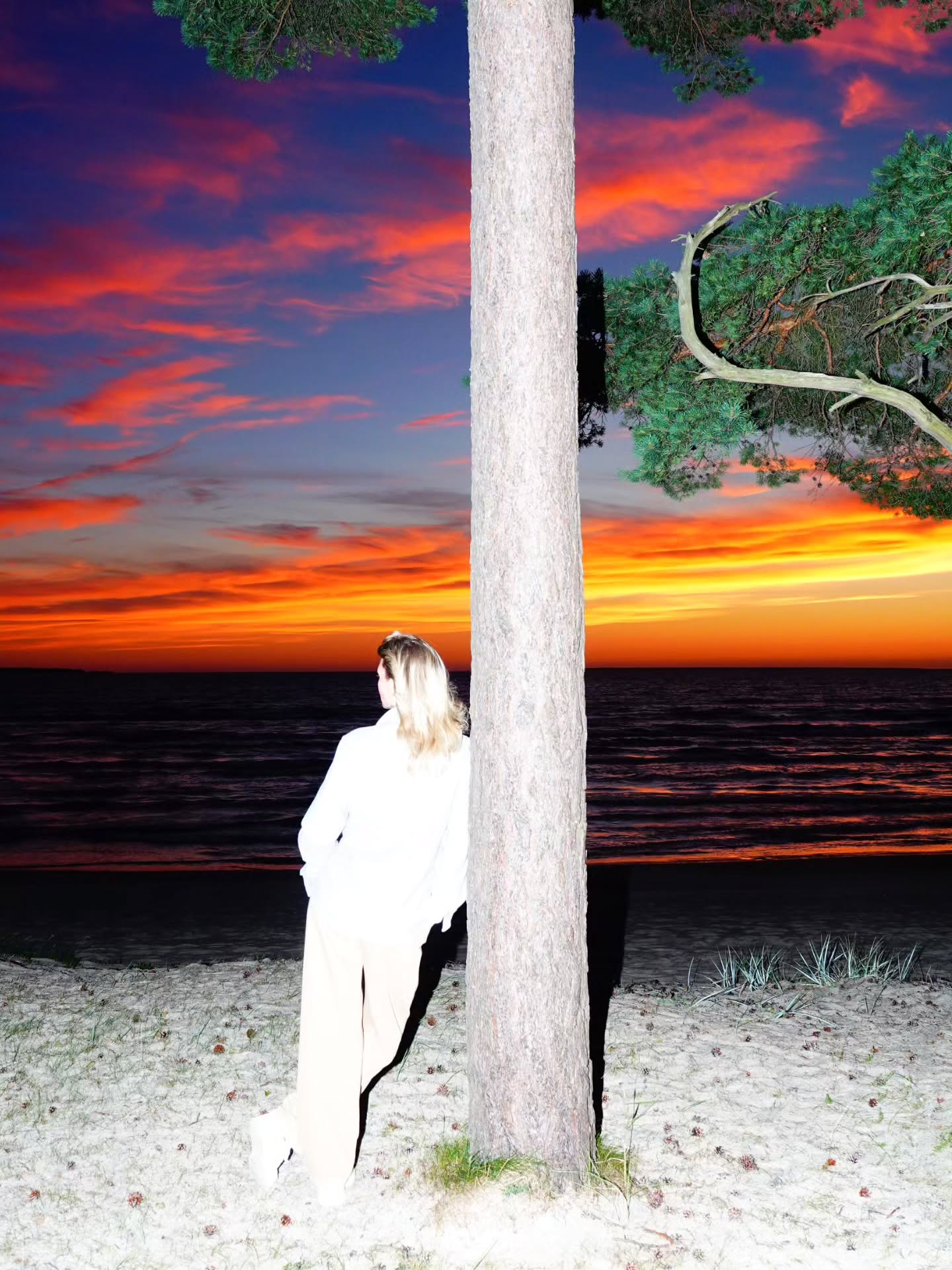 Thumbnail of p-dpkcmuljio8-eaa958585fa143b0 11