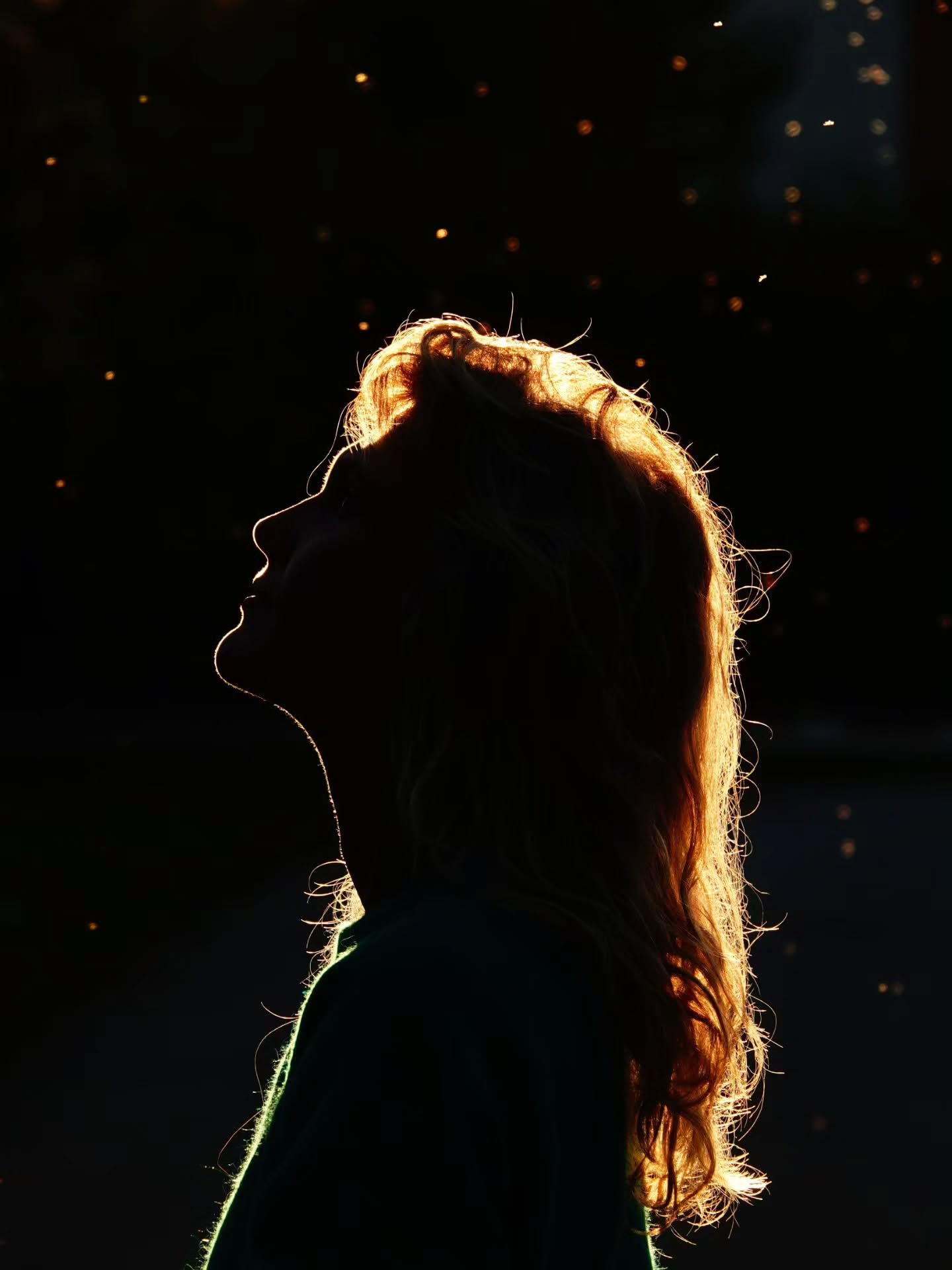 Thumbnail of p-dpkcmuljio8-eaa958585fa143b0 12