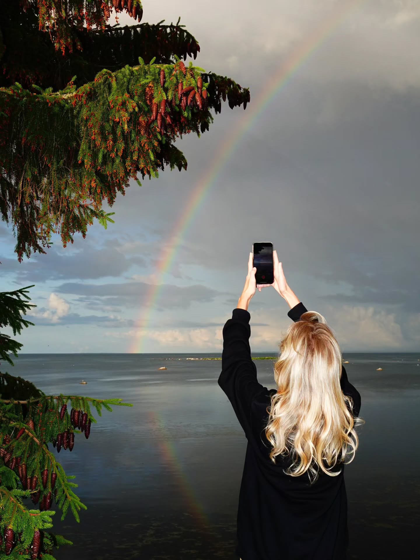 Thumbnail of p-dpkcmuljio8-eaa958585fa143b0 14