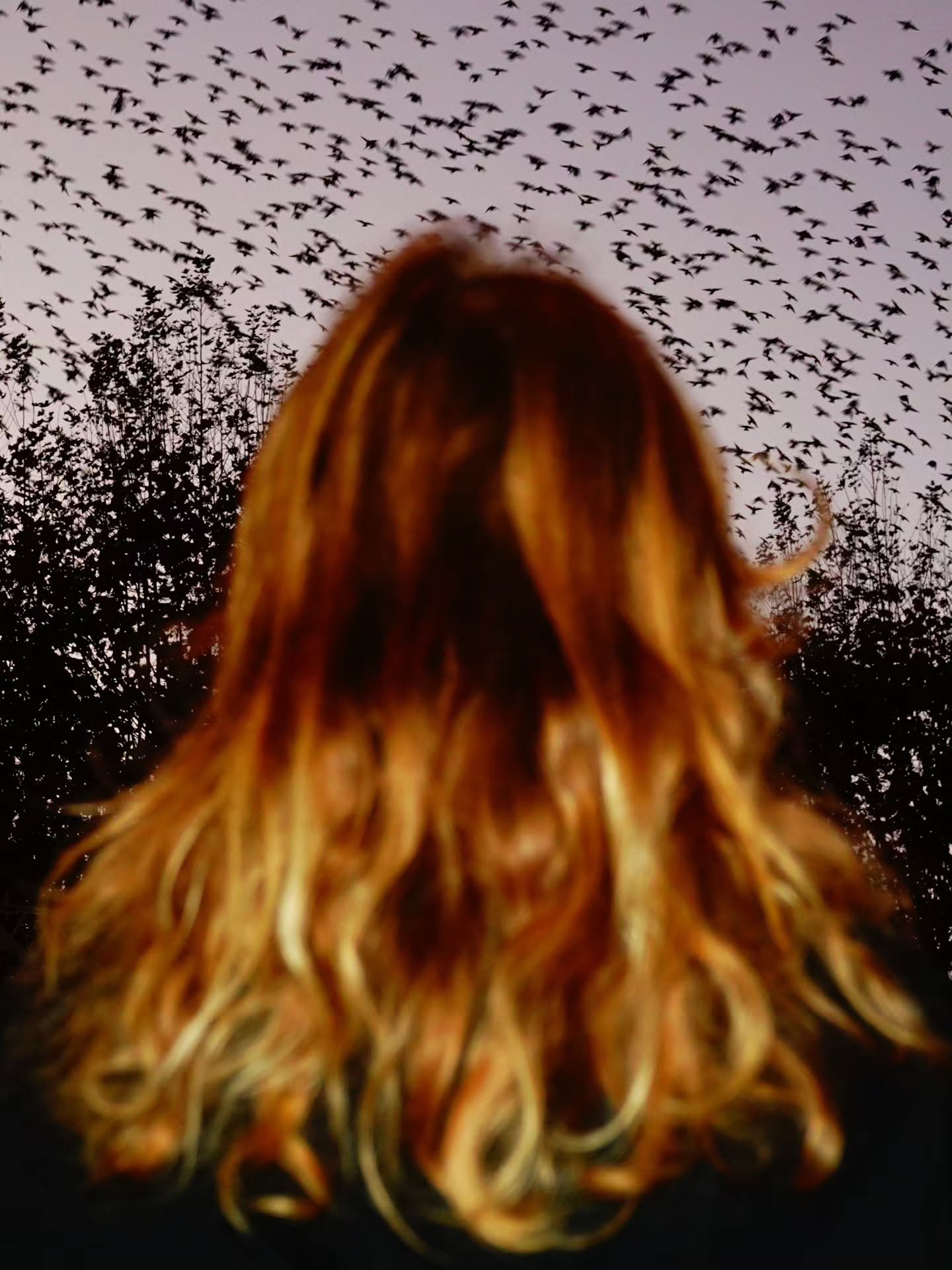 Thumbnail of p-dpkcmuljio8-eaa958585fa143b0 18