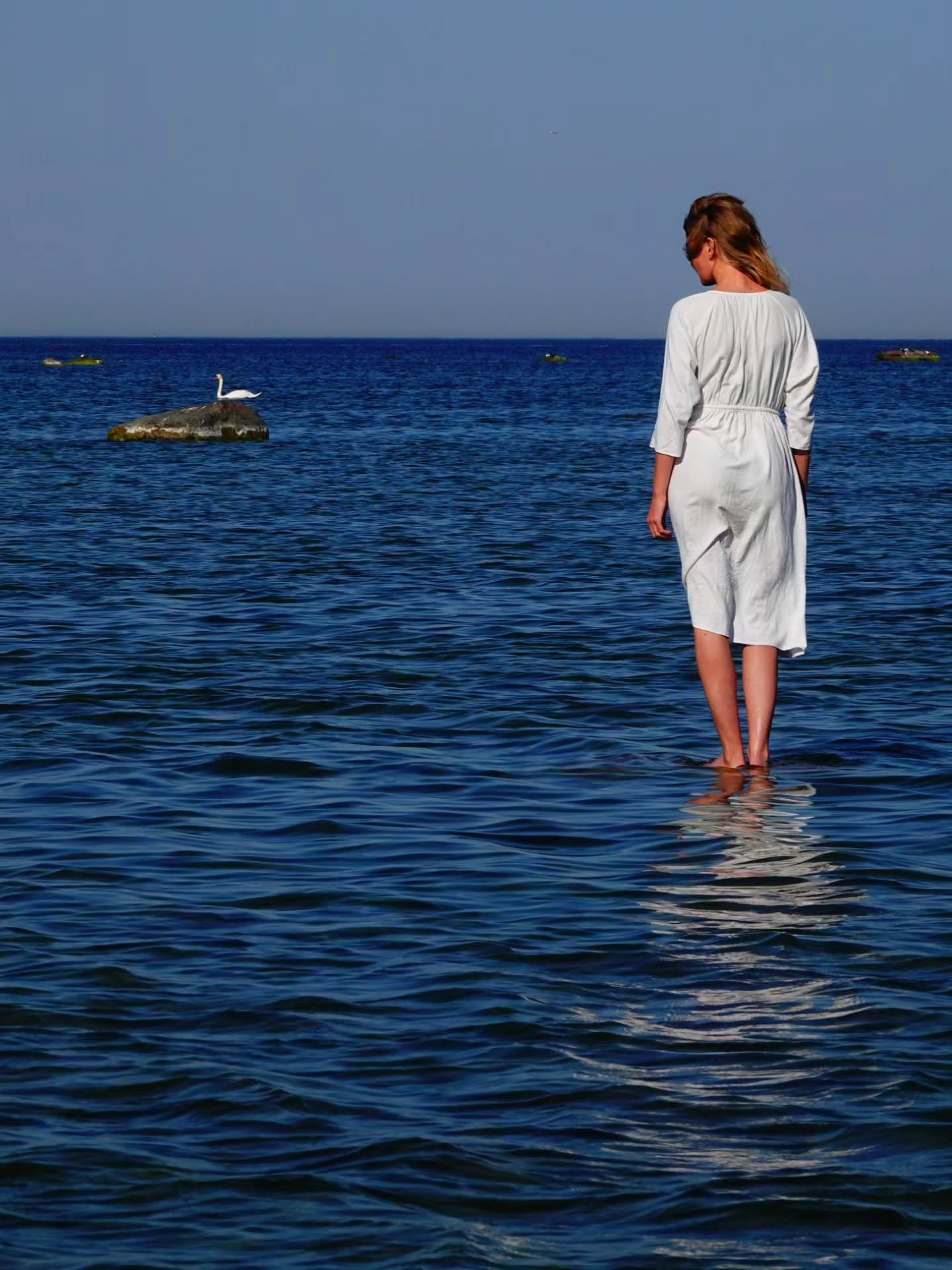 Thumbnail of p-dpkcmuljio8-eaa958585fa143b0 6