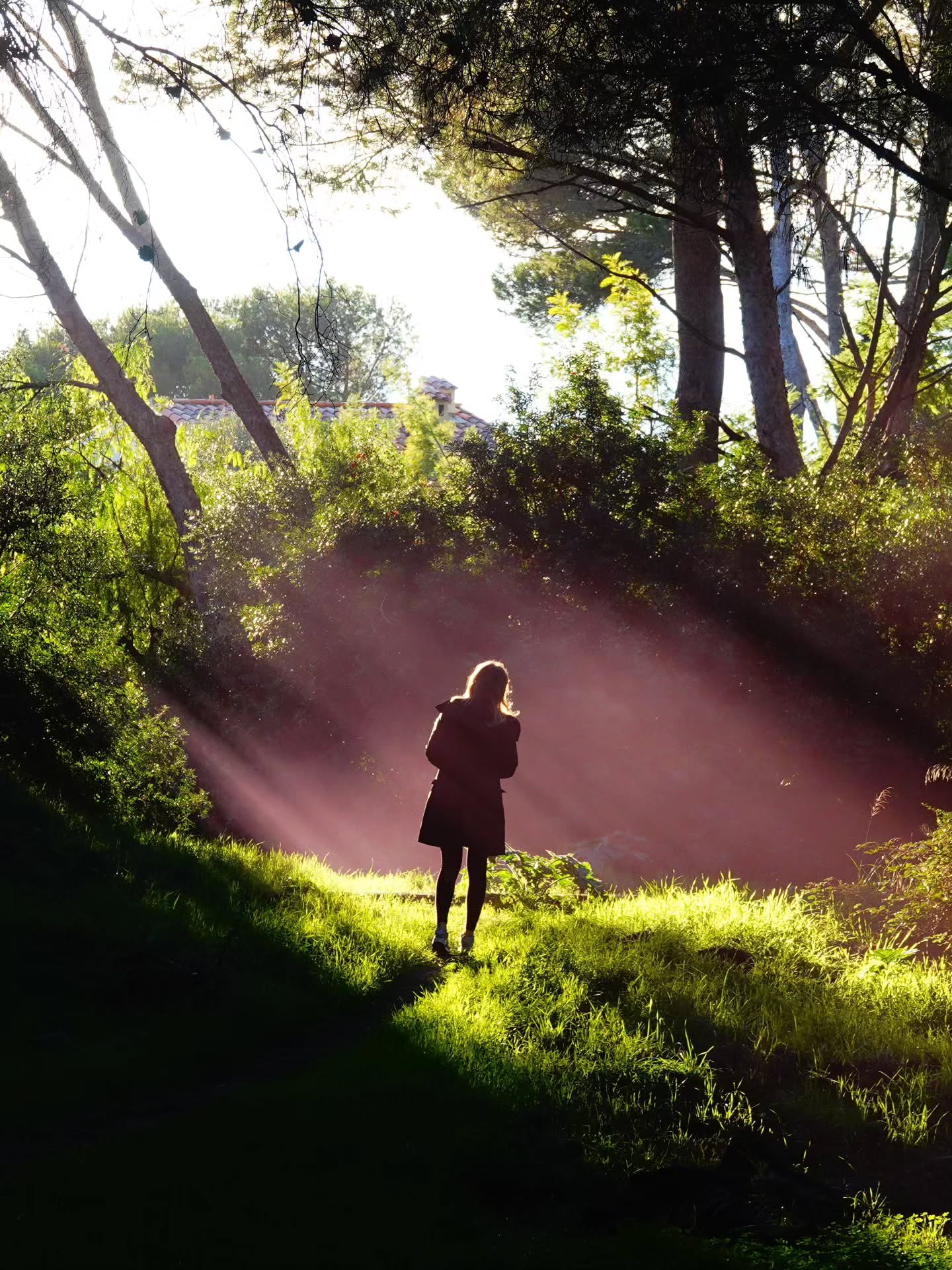 Thumbnail of p-dpkcmuljio8-eaa958585fa143b0 9