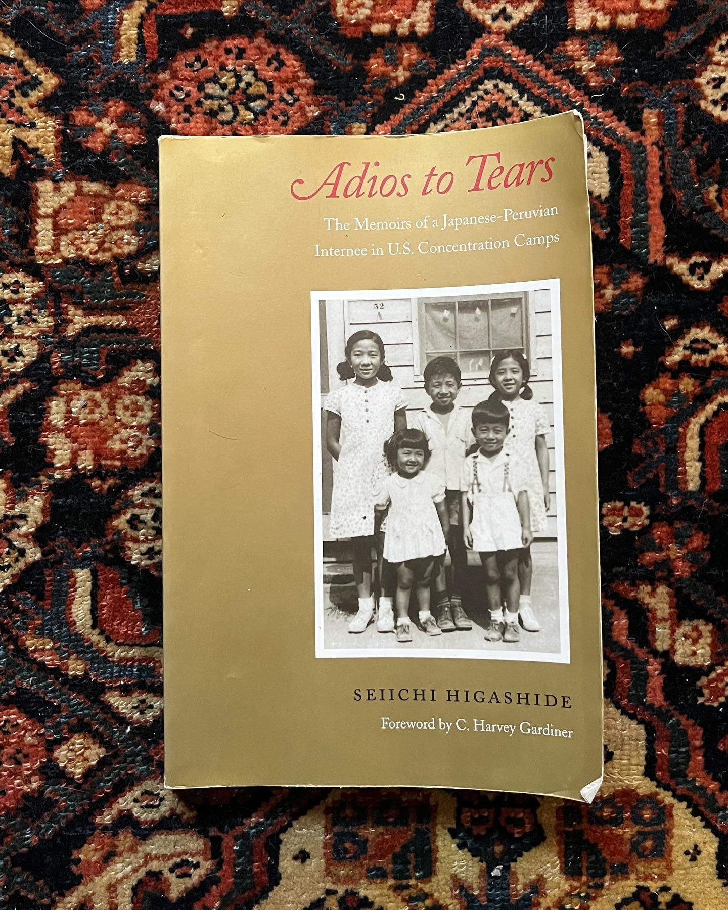 Thumbnail of p-cjwjevvuhbk-ed38b34c797a46e2 1